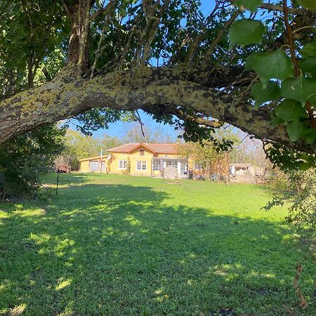 Ferienhaus Primorska Sunshine In Strandnaehe شابلا المظهر الخارجي الصورة