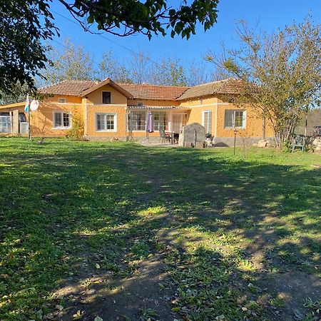 Ferienhaus Primorska Sunshine In Strandnaehe شابلا المظهر الخارجي الصورة