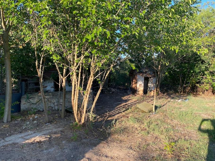 Ferienhaus Primorska Sunshine In Strandnaehe شابلا المظهر الخارجي الصورة