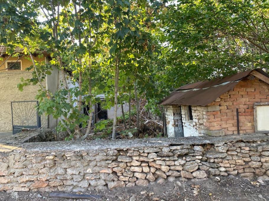 Ferienhaus Primorska Sunshine In Strandnaehe شابلا المظهر الخارجي الصورة