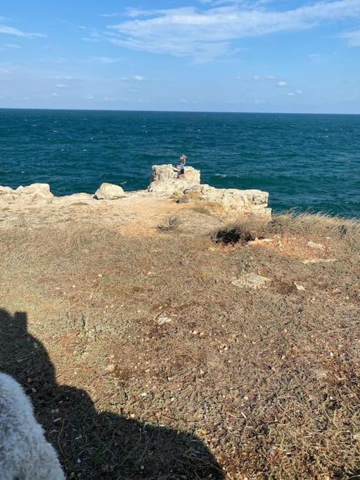 Ferienhaus Primorska Sunshine In Strandnaehe شابلا المظهر الخارجي الصورة