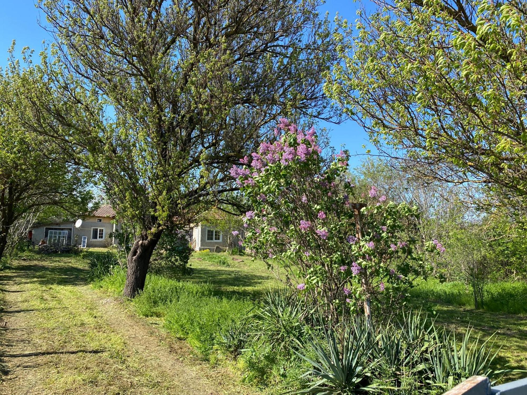 Ferienhaus Primorska Sunshine In Strandnaehe شابلا المظهر الخارجي الصورة