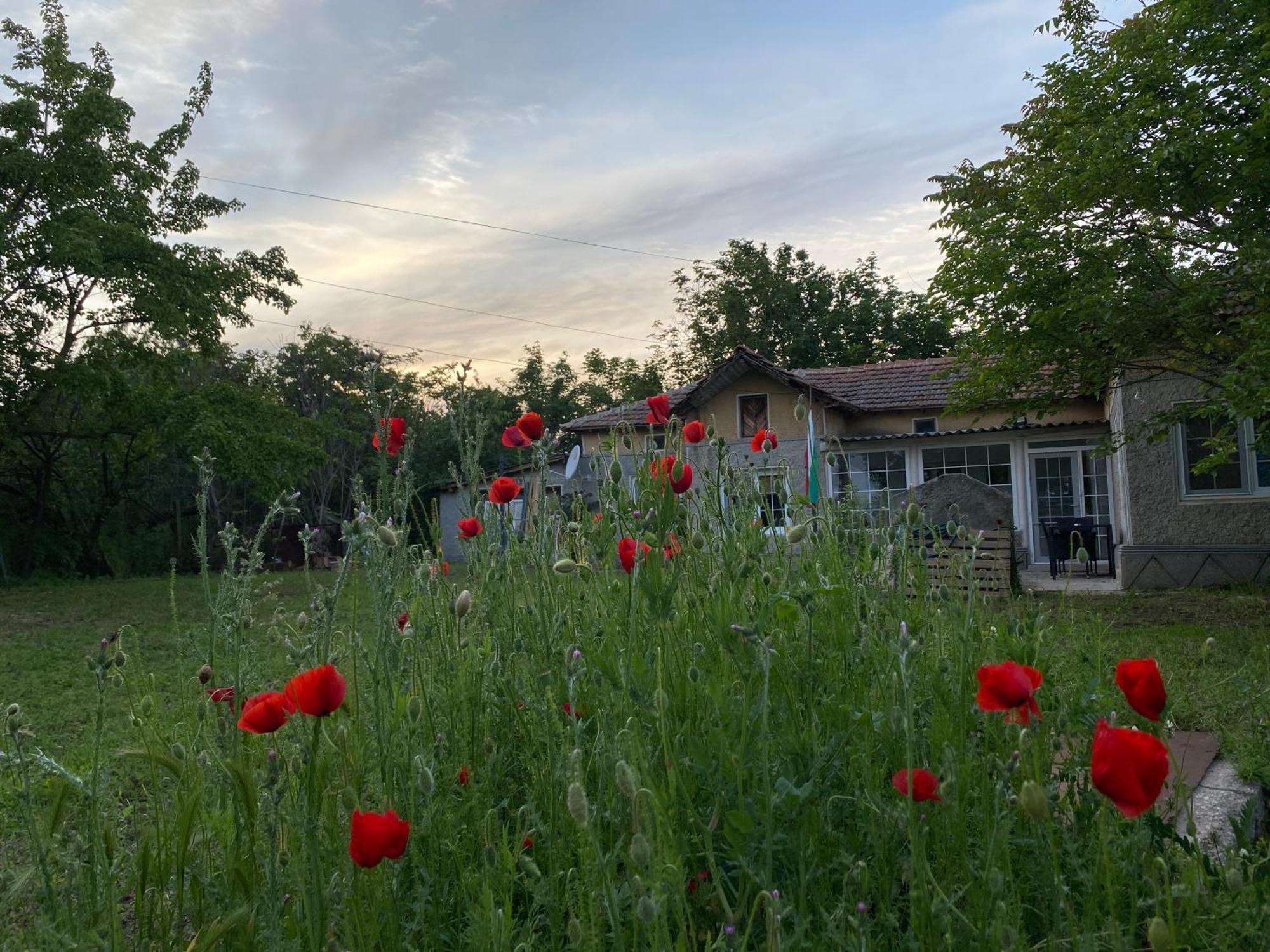 Ferienhaus Primorska Sunshine In Strandnaehe شابلا المظهر الخارجي الصورة